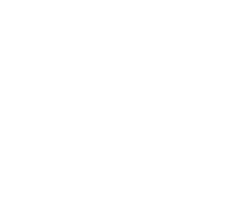        Grâce à sa souplesse structurelle l’ensemble Il Nuovo Concerto peut se consacrer tant aux répertoires d’orchestre qu’à ceux des diverses formations de musique de chambre.

	 En orchestre, Il Nuovo Concerto se présente en formation d’un instrumentiste par partie. Dans l’esprit du Collegium Musicum de Leipzig, que Johann Sebastian Bach dirigea pendant plusieurs années, l’ensemble allie ainsi l’esprit de la musique de chambre et le jeu en orchestre. Dans cette formation, il se consacre principalement au répertoire des concertos pour un ou plusieurs solistes et orchestre de l’époque baroque (J. S. Bach et ses fils, Telemann, Corelli, Vivaldi etc.).
